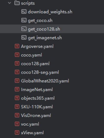 v1